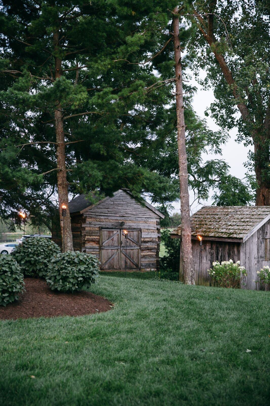 The restored log cabin in summer