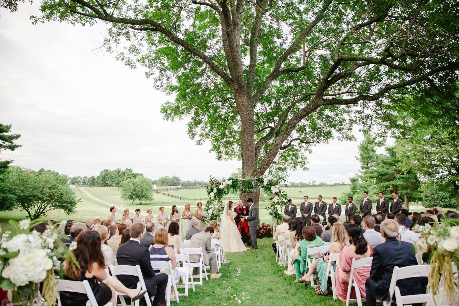 A ceremony gathered beneath the great oak