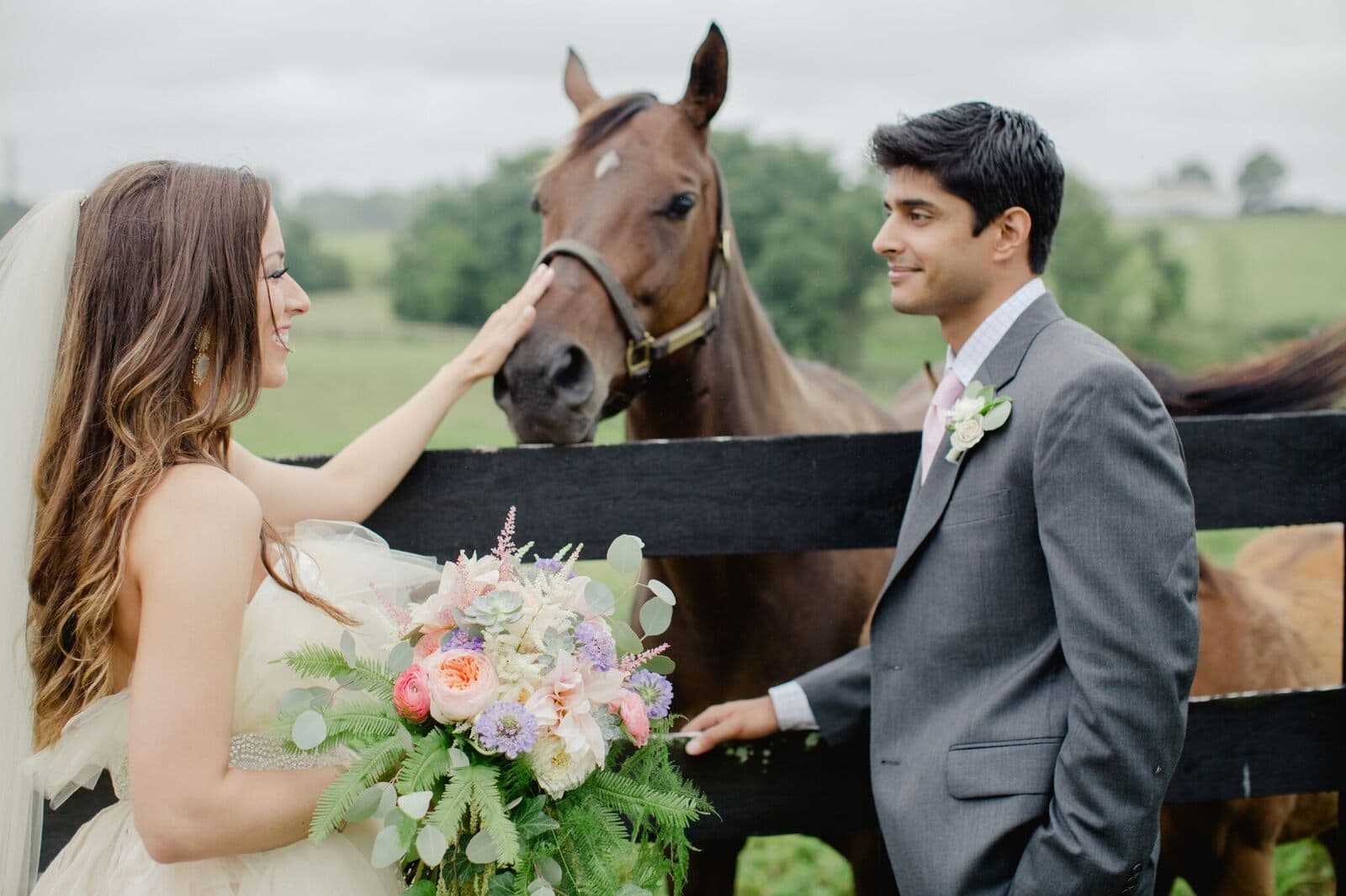 A pause with one of the horses