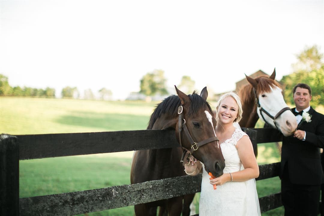 Bride and groom with two of the horses