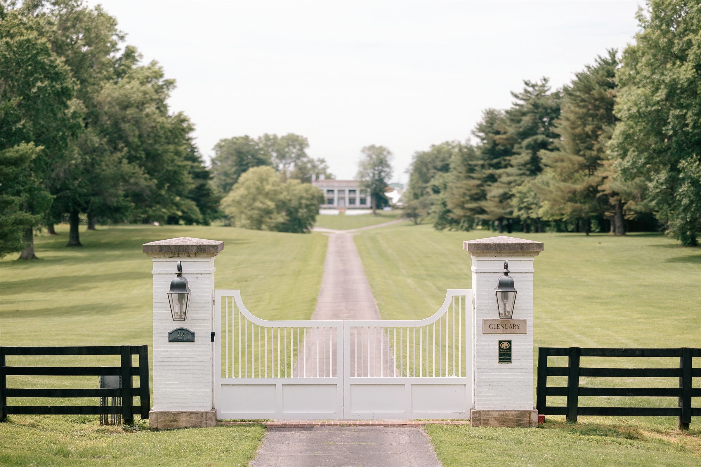 The stone gates and tree-lined drive