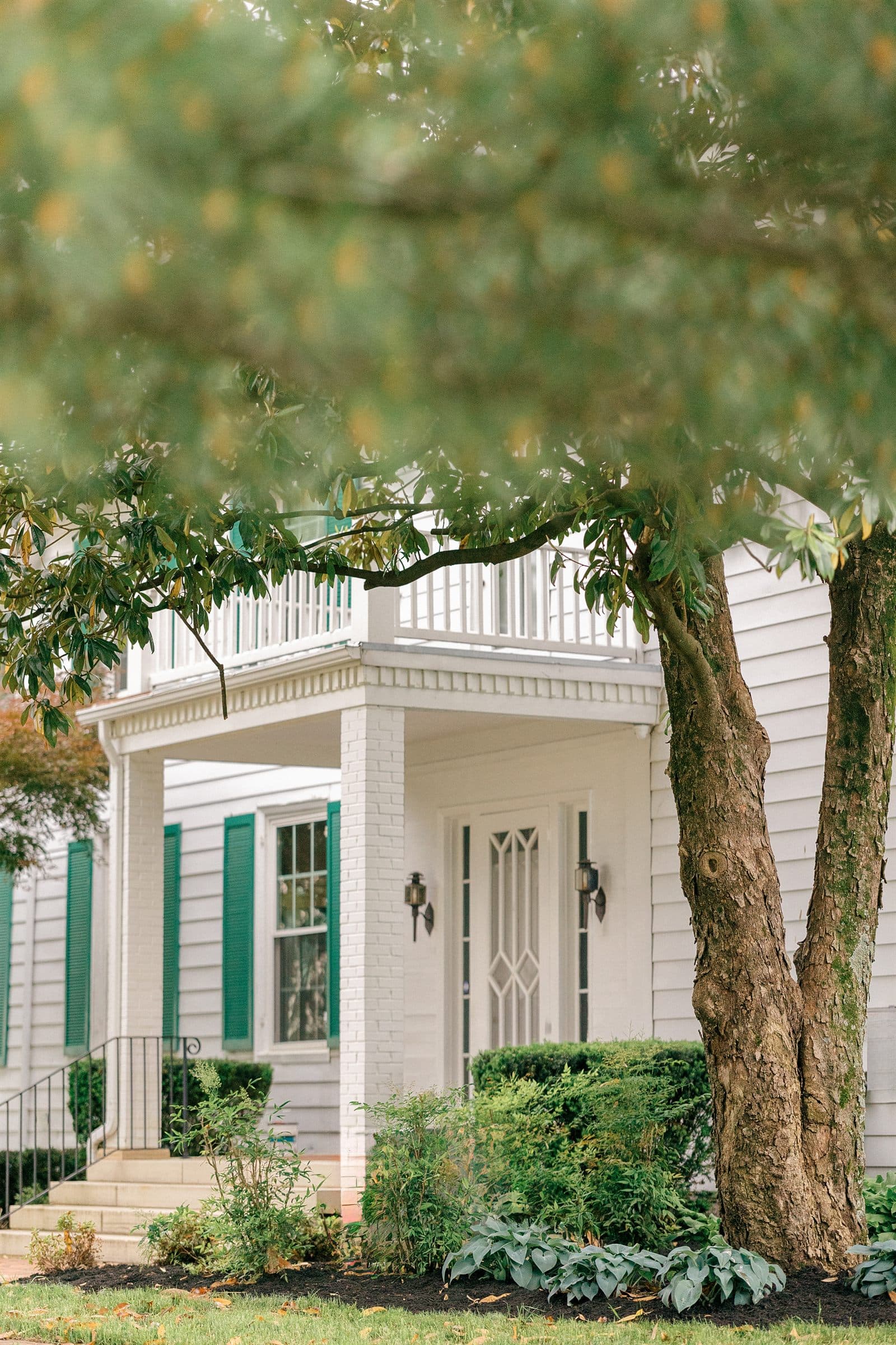 The manor porch with its green shutters, under an old tree