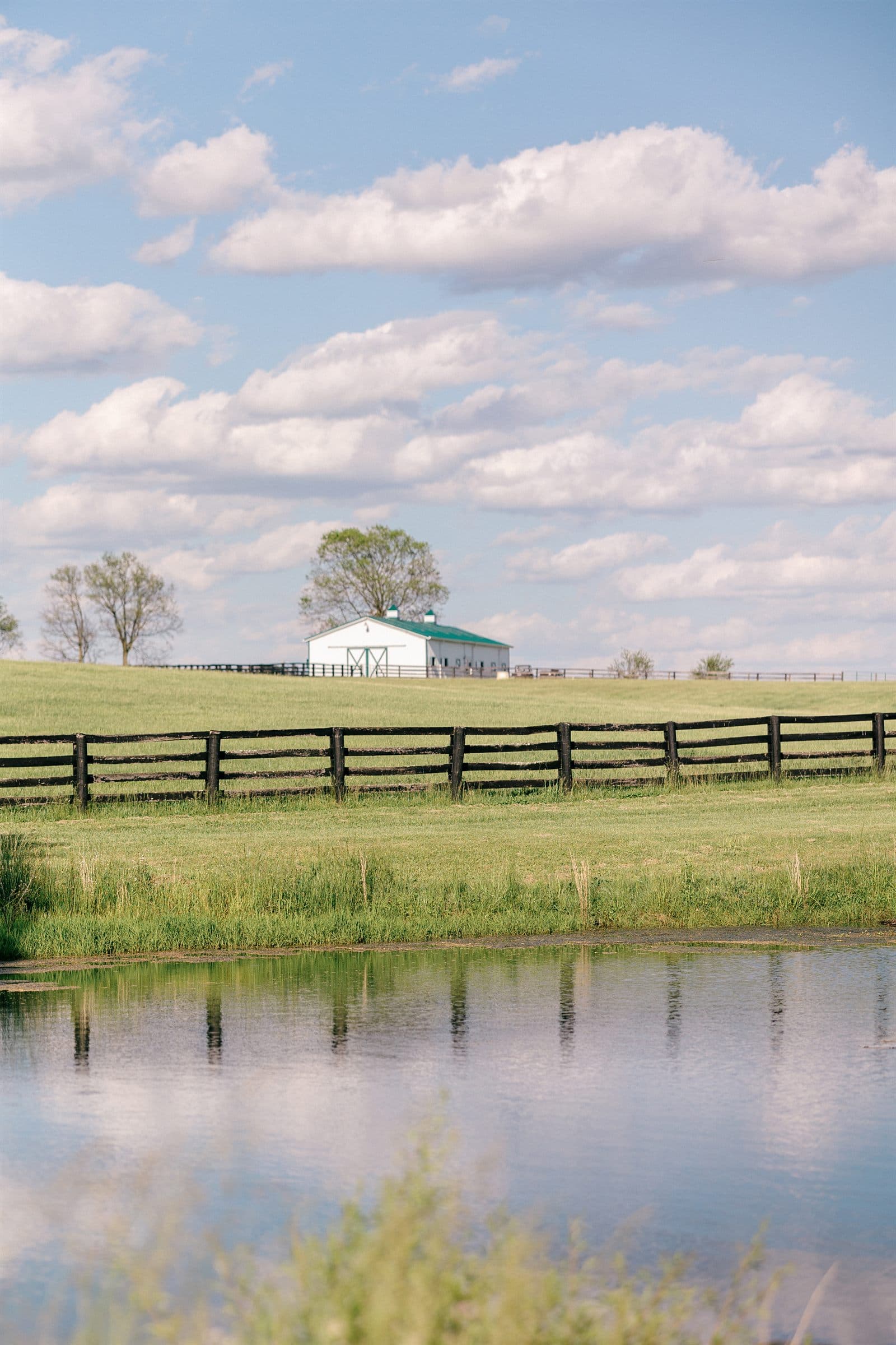 The turnout pond behind the four-board fence, stables beyond